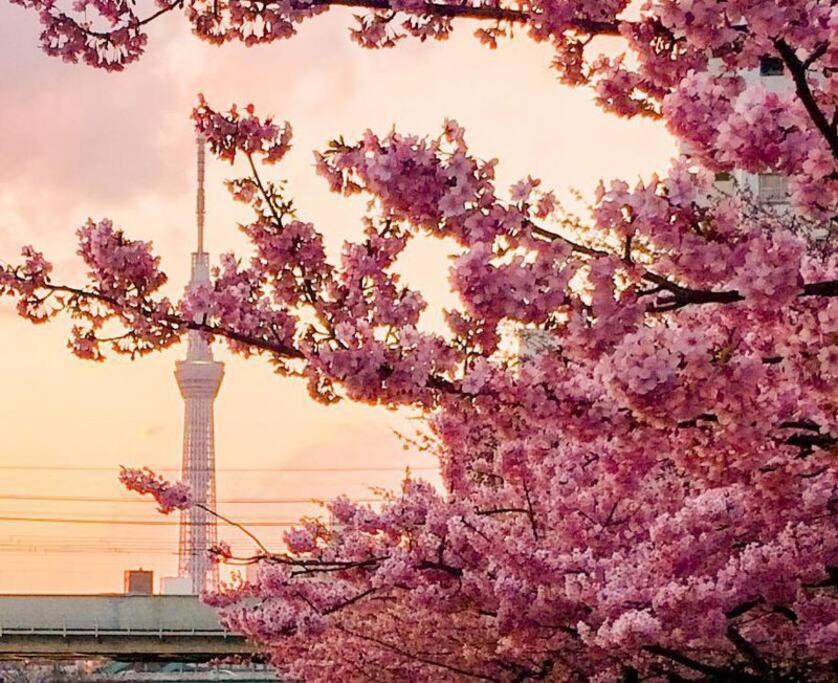 5Mins From Jr Kinshicho! Near Asakusa&Skytree! 東京都 エクステリア 写真